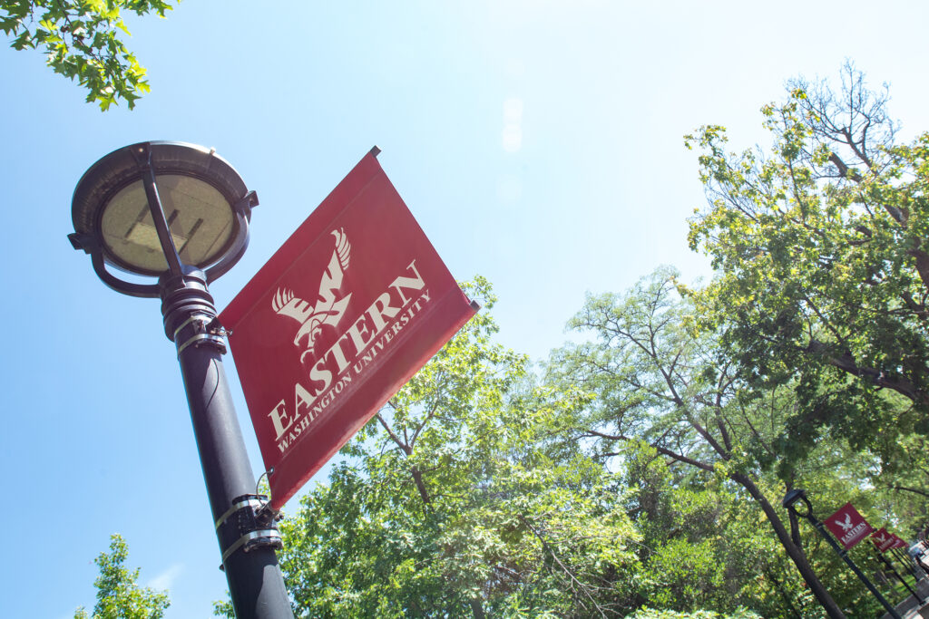 Photo of Eastern flag on a lamp post with trees in the background.