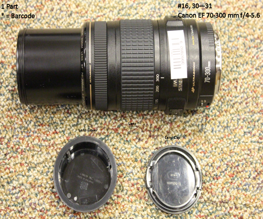Canon EF 70-300mm f/4-5.6